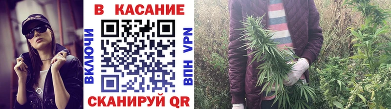 Продажа наркотиков Кодинск Alpha PVP  COCAIN  Меф  ГАШ 