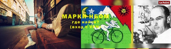 индика Белокуриха