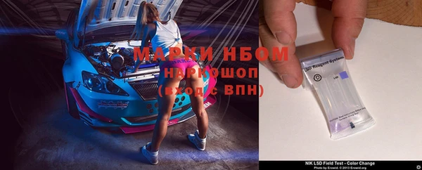 индика Белокуриха