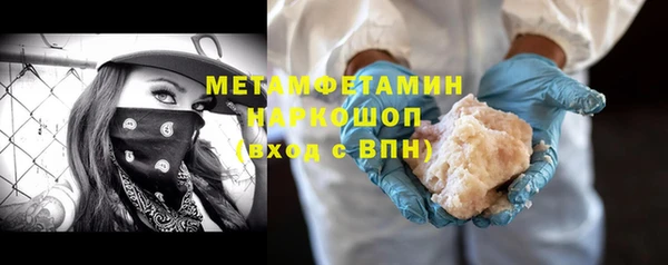 индика Белокуриха