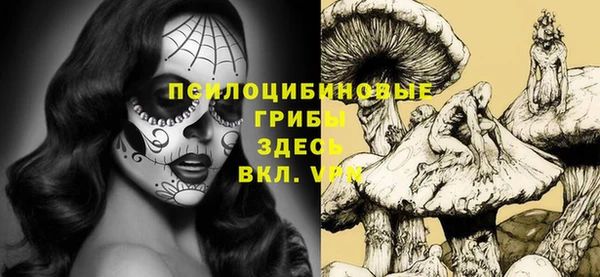 прущий лед Белоозёрский