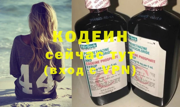 индика Белокуриха