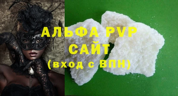индика Белокуриха