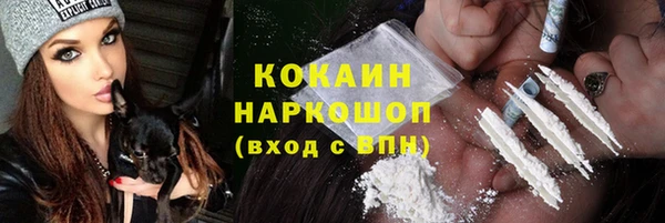 индика Белокуриха