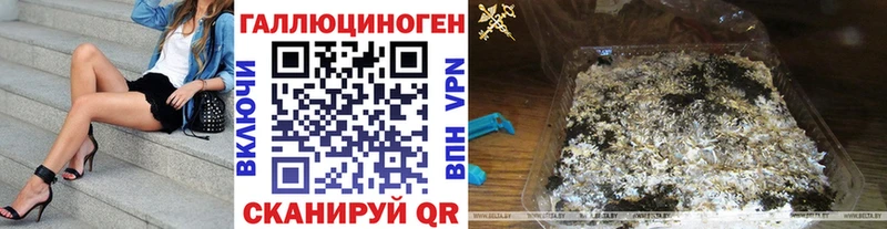 купить  цена  Кодинск  Галлюциногенные грибы Psilocybe 